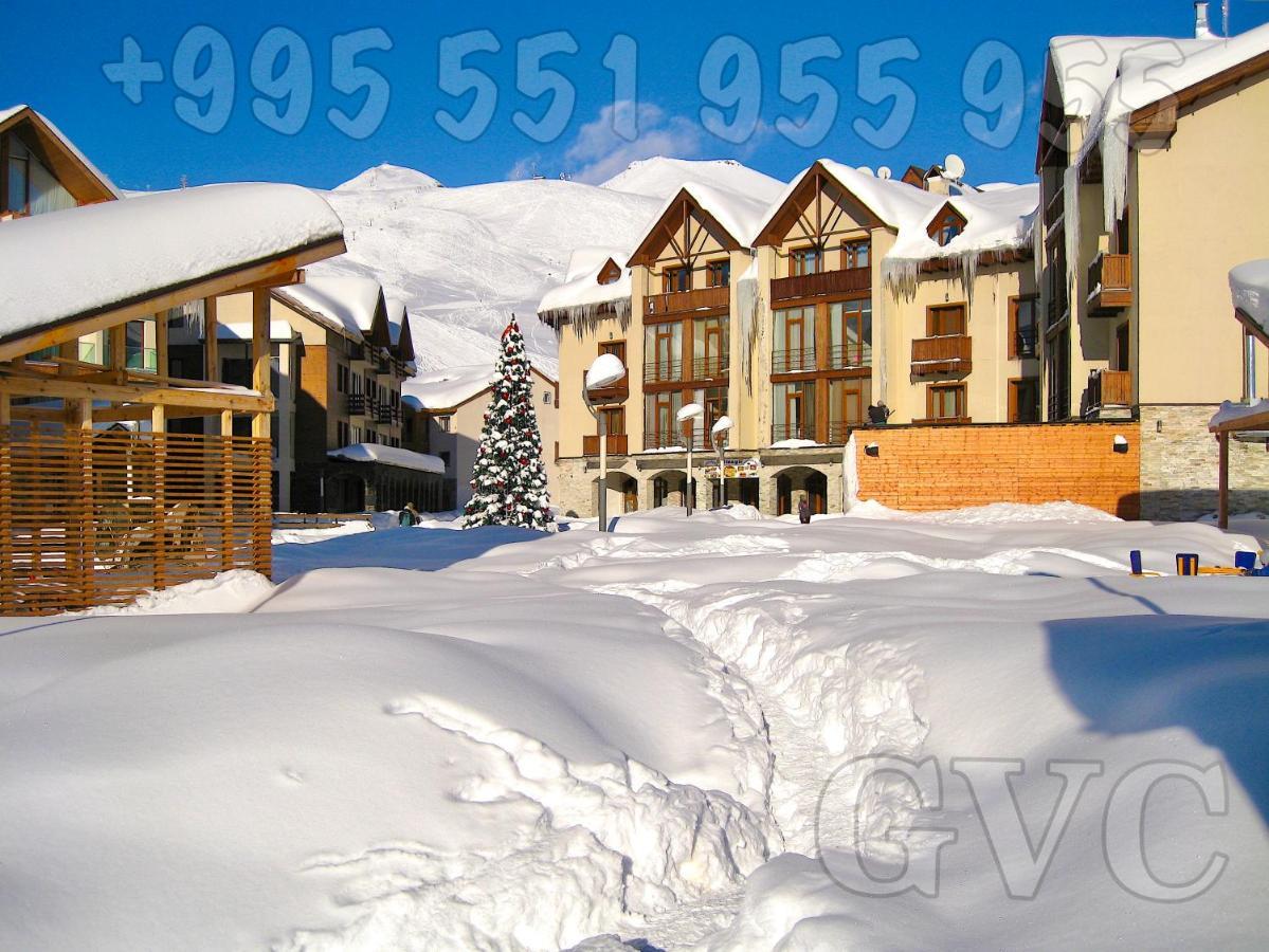 Gvc 2-level New *